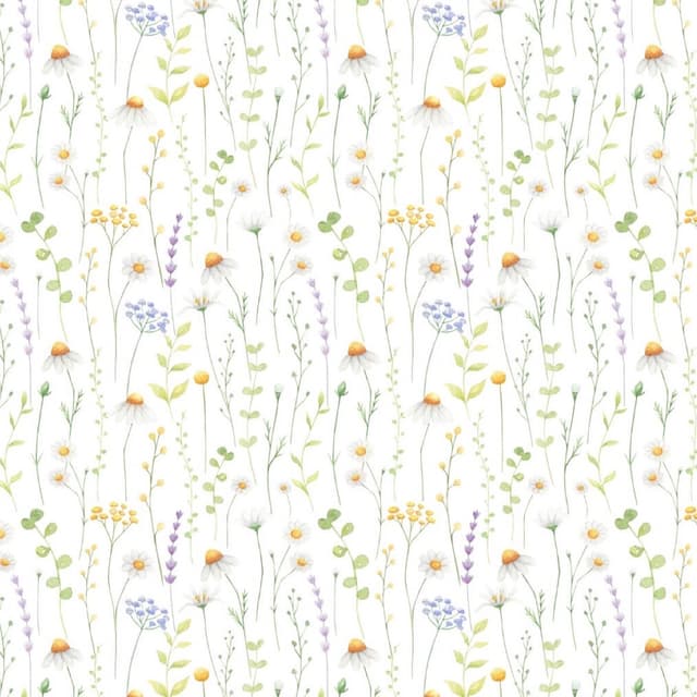 Extended blowout package (3) at Rooted and Wild in Murfreesboro, TN